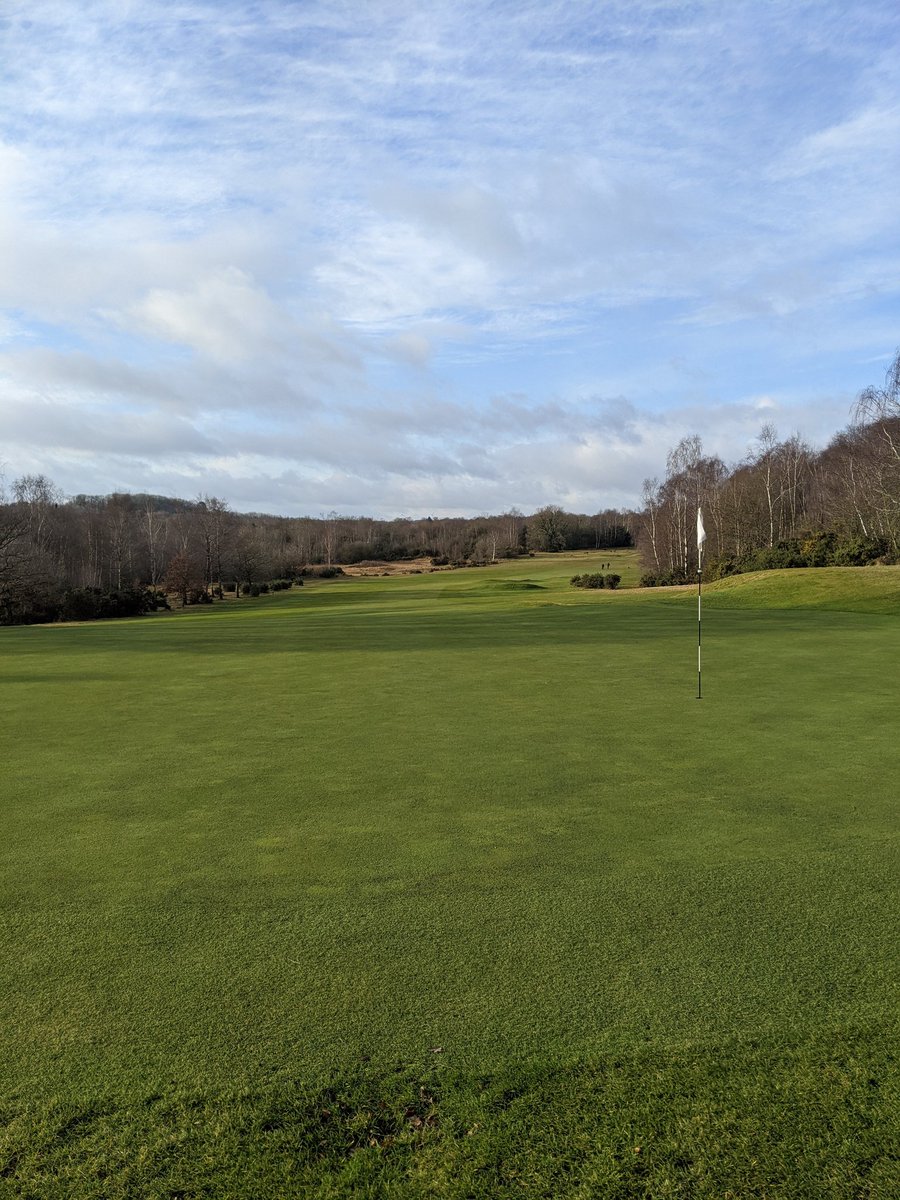 Mark Nelson tweet media