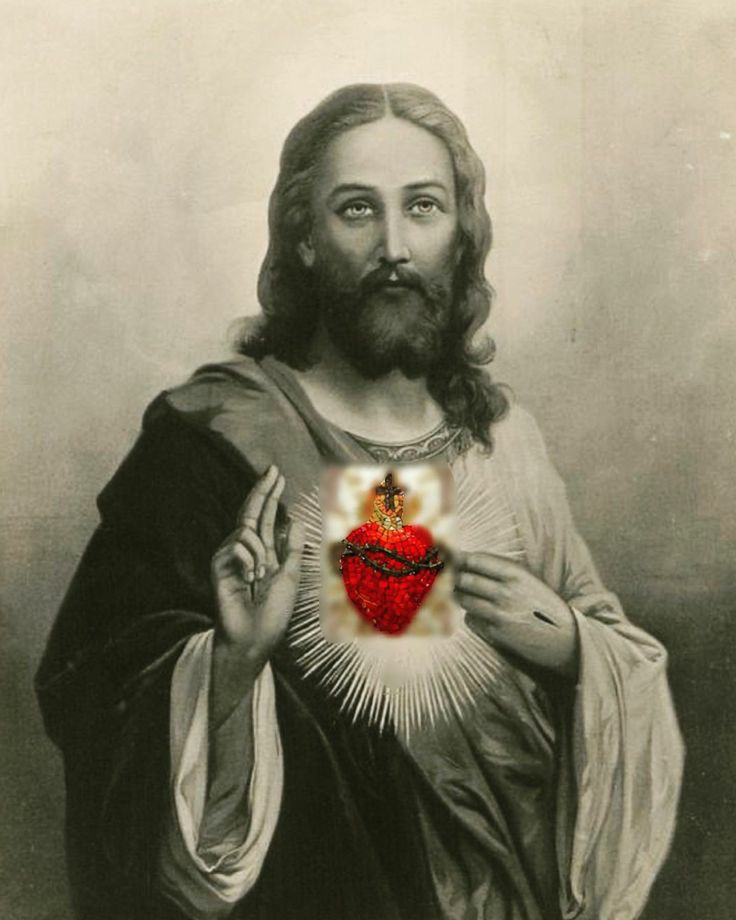 teresaleoc's tweet photo. "O WISDOM OF THE SACRED HEART OF JESUS, DIRECT ME IN ALL MY WAYS.
O LOVE OF THE SACRED HEART,
CONSUME ME IN THY FIRE.
~St. Alphonsus Liguori
Sacred Heart of Jesus, have mercy on us!
#FirstFriday #ScaredHeart #Jesus https://t.co/8SoG1vvFHg