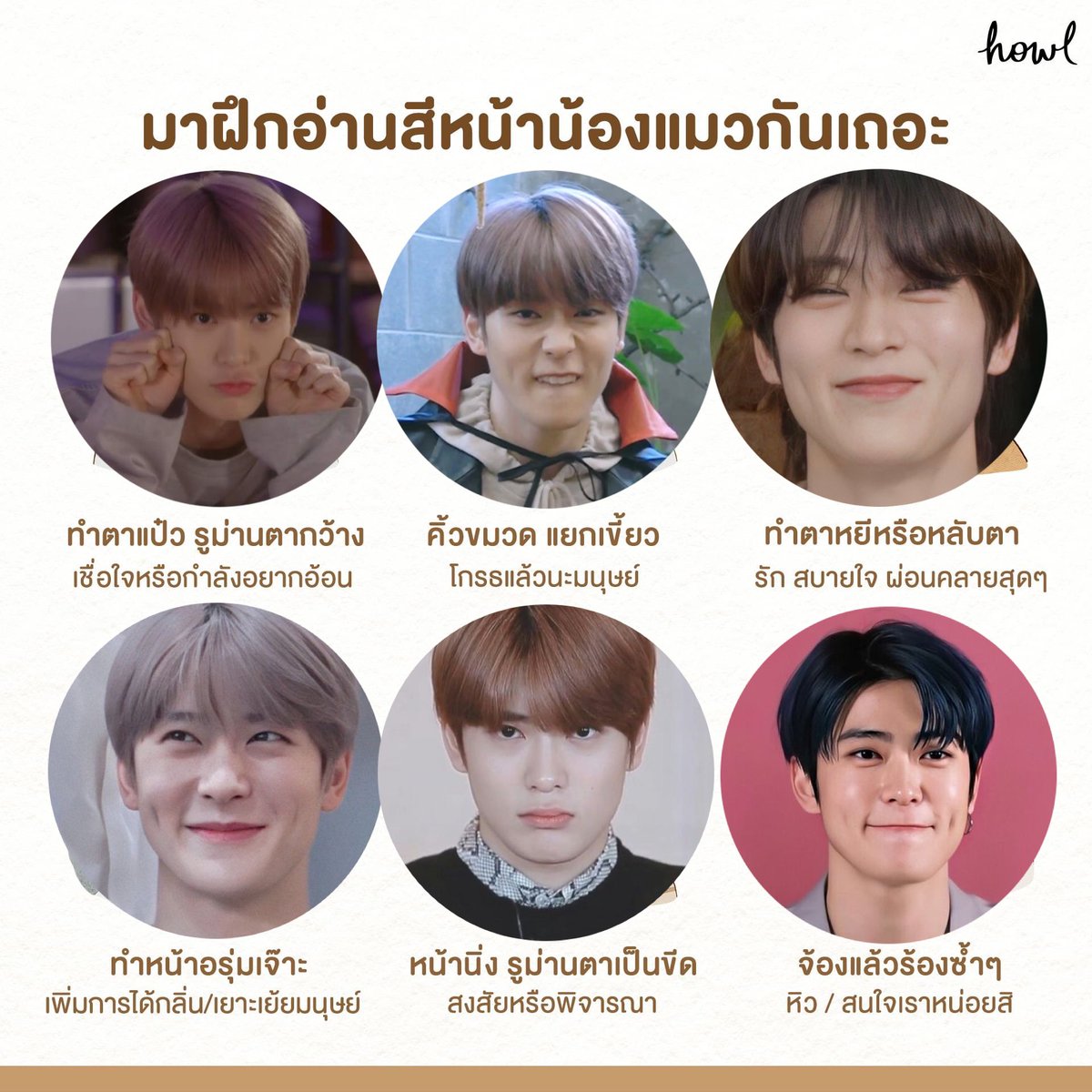 เหมียวแจนคิดอาไรอยู่น้า