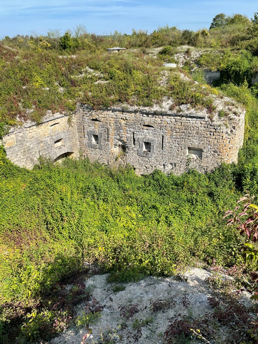 Ri315e's tweet image. #frontlinefriday
Where are we today?