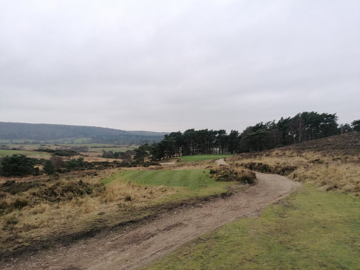 Muttley Golf Pro tweet media