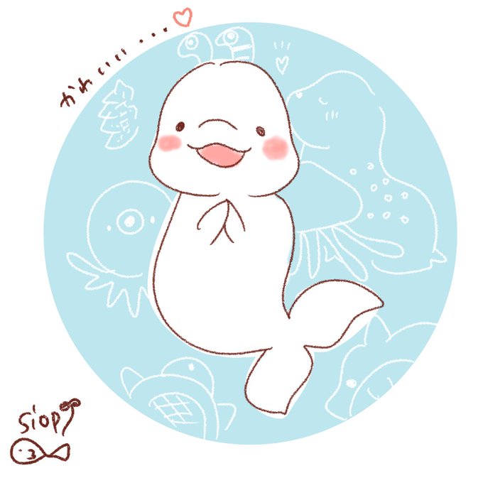 シロイルカのtwitterイラスト検索結果