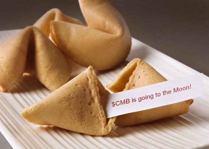 RyanBeharry05's tweet photo. @CoolMonkes $CMB 💰🐵🍌 https://t.co/7qt4oy6SUk