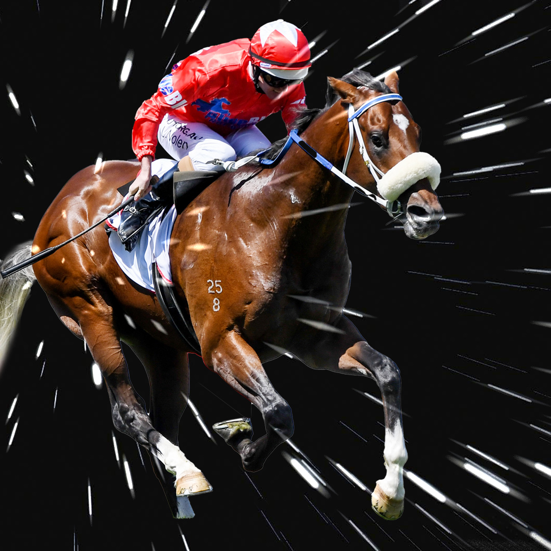 Festival of Racing tweet media