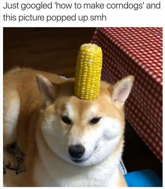 WholesomeMemes tweet media