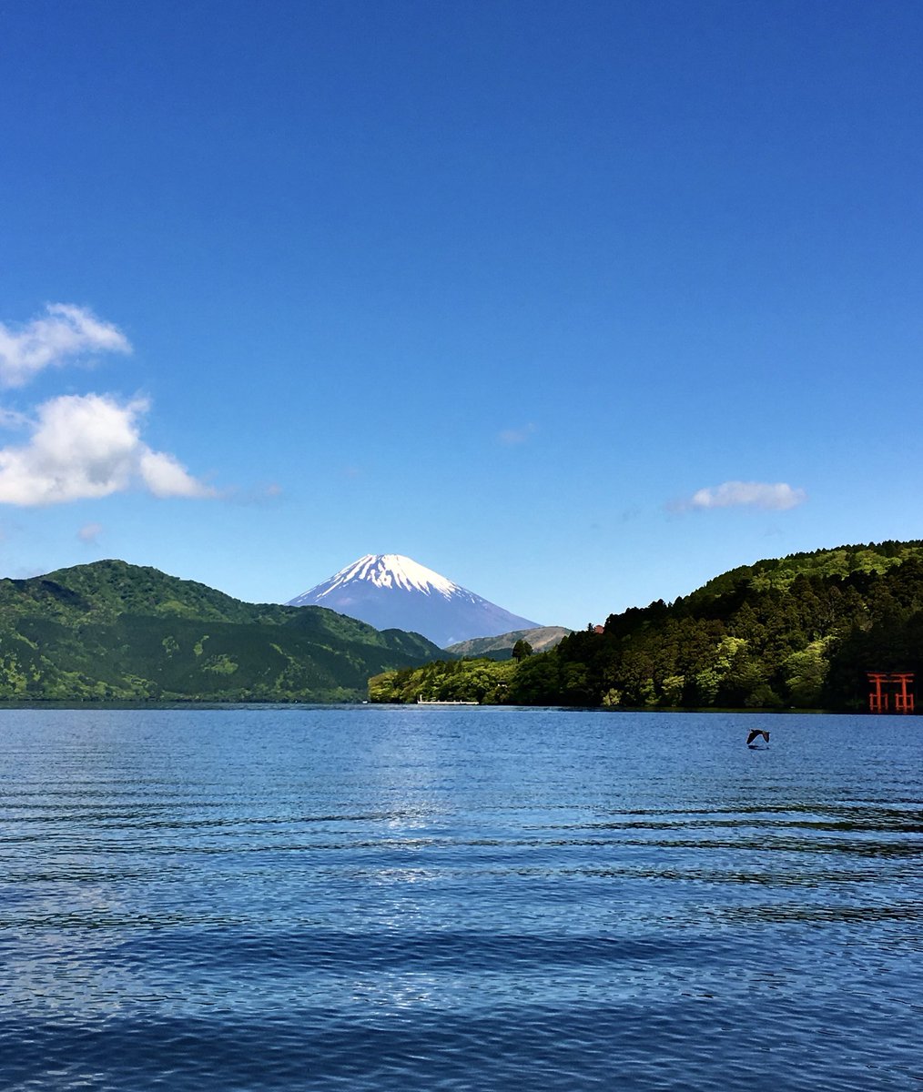 いつもありがとうございます🗻 今日の一枚