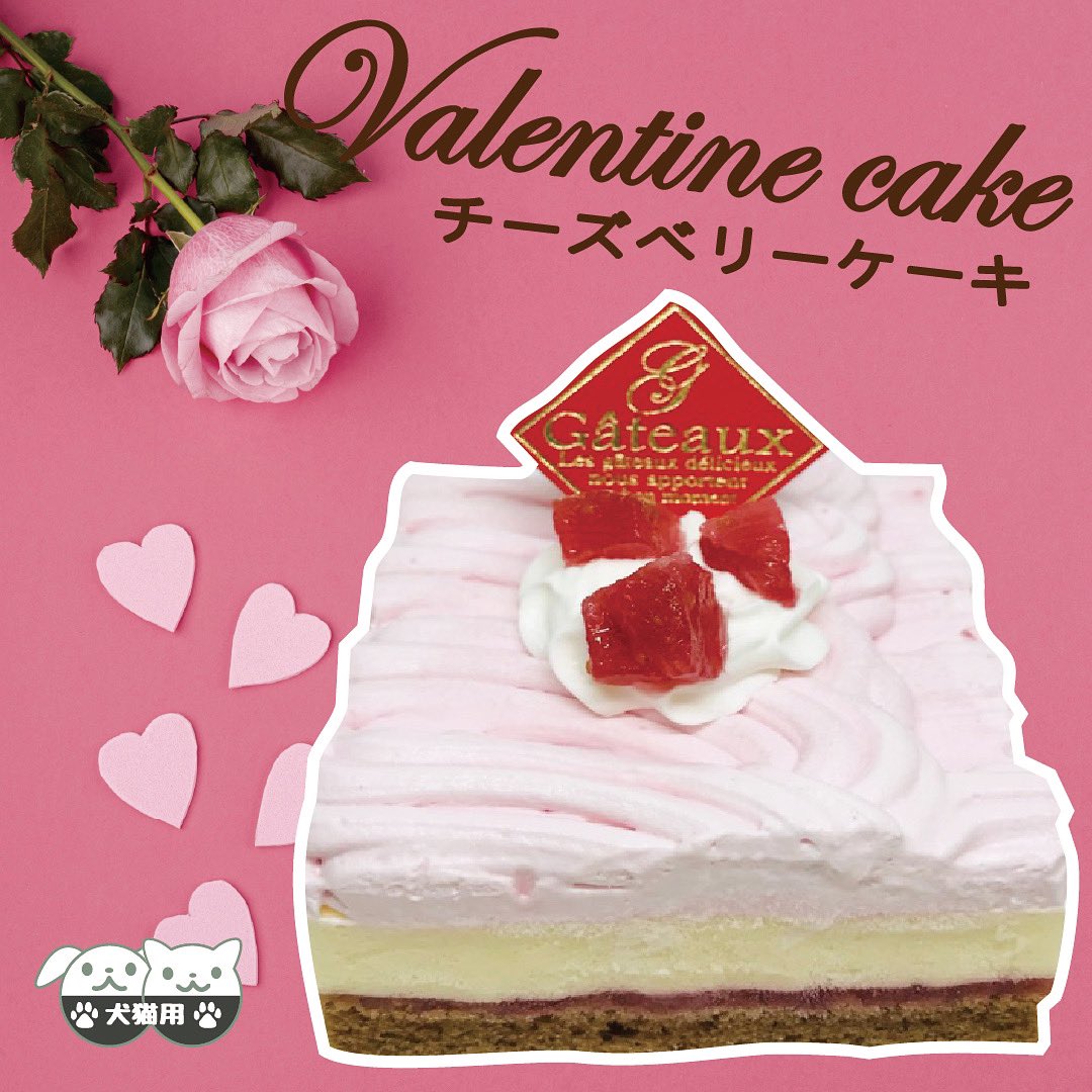 さつま芋モンブランタルトケーキ 誕生日ケーキ わんちゃん用 ペット用ケーキ バースデーケーキ 犬