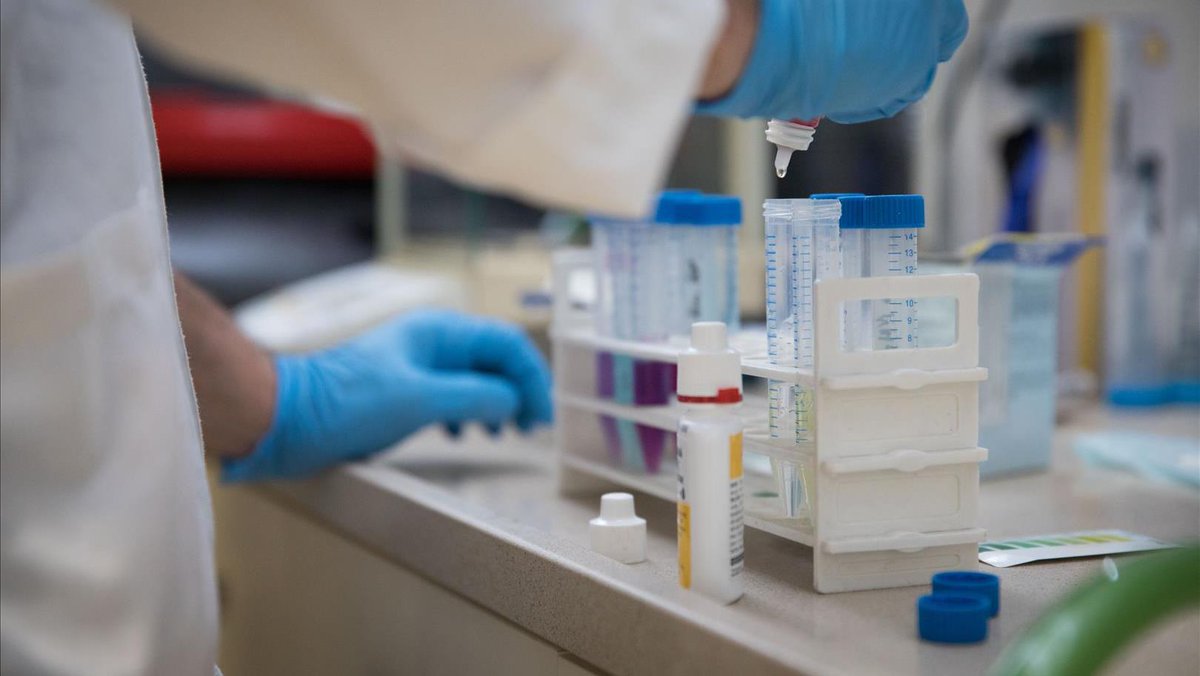 יום המודעות הבין לאומי לסרטן | ללא מטרות רווח ועם התעלמות של חברות התרופות: המחקר הישראלי פורץ הדרך למניעת גרורות מציע שתי תרופות זולות ובטוחות, שעשויות לצמצם משמעותית חזרה של סרטן קטלני
bit.ly/3upfYJL

<a href="/HuberSapir/">Sapir Huber</a> 
(צילום: הדס פרוש, פלאש 90)