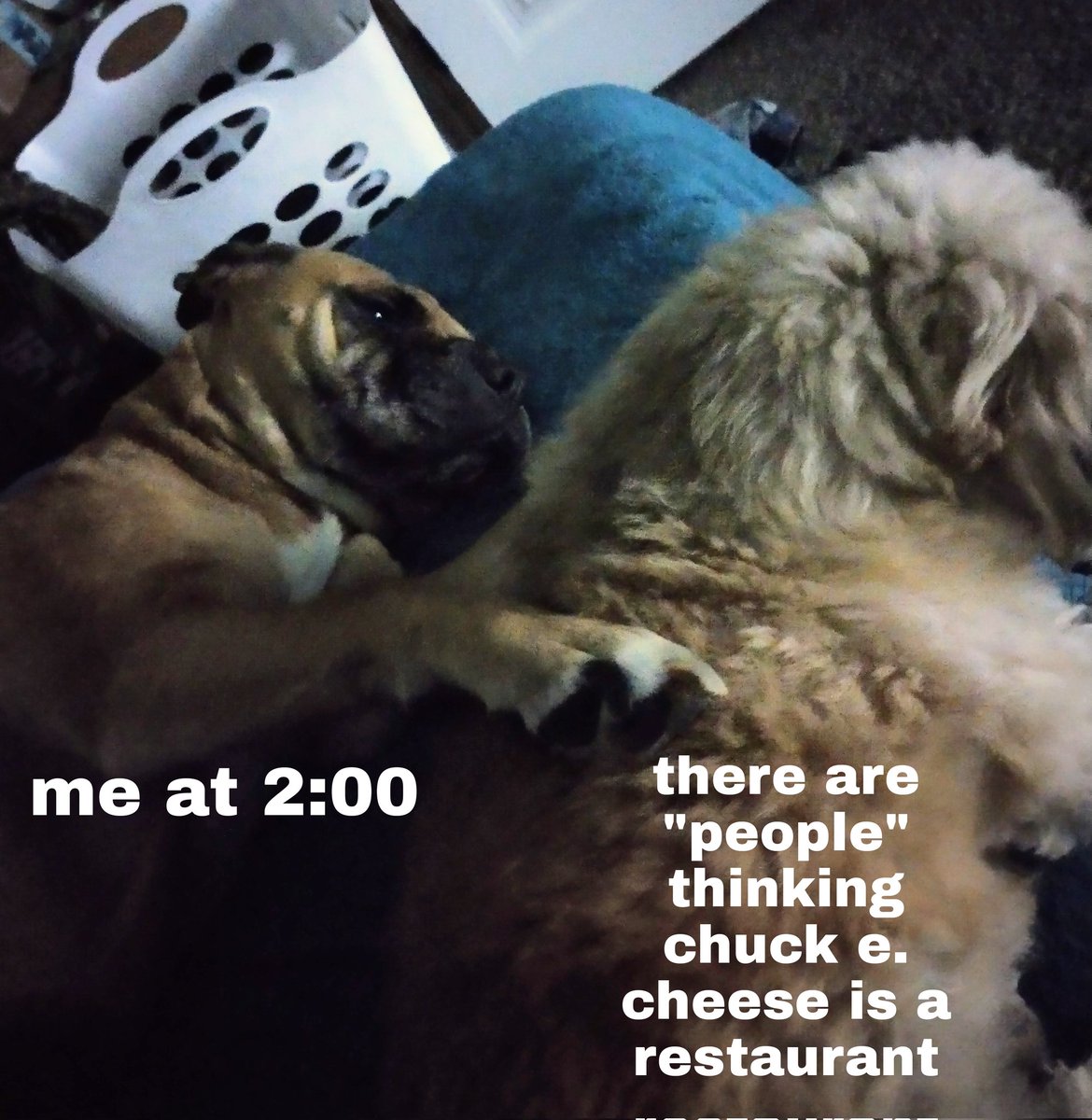 Ｖｅｌｍａ Ｄ (@tightdetectivv) on Twitter photo 