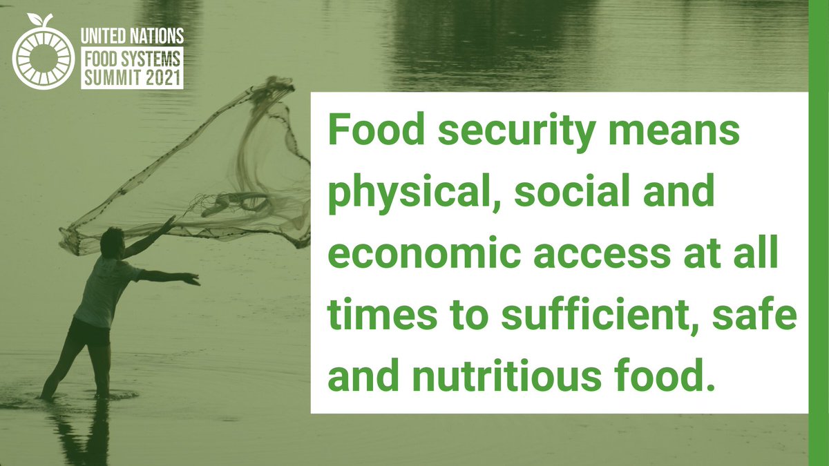 FoodSystems's tweet image. It's that time of the week again - #FoodSystemsFriday!

What do you think food security means?