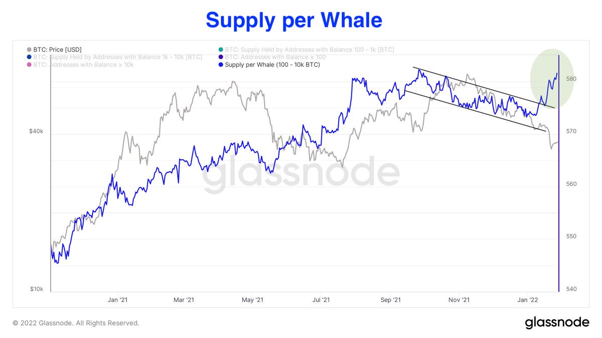 UnderTradingYT's tweet photo. Les whales ont une dalle de #bitcoin depuis quelques jours. https://t.co/0kDy48fTnR
