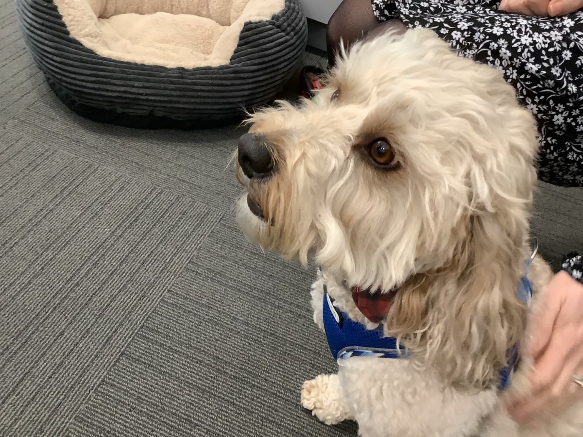 Mrs Burley tweet media