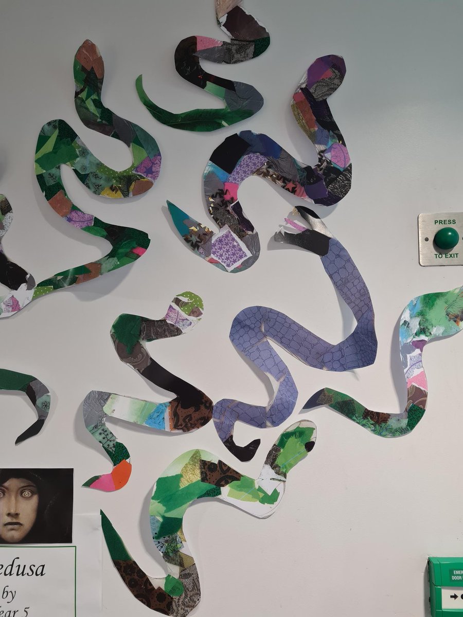 Elm Grove Primary School tweet media