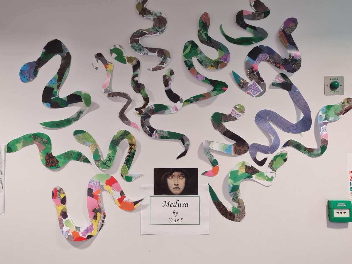 Elm Grove Primary School tweet media