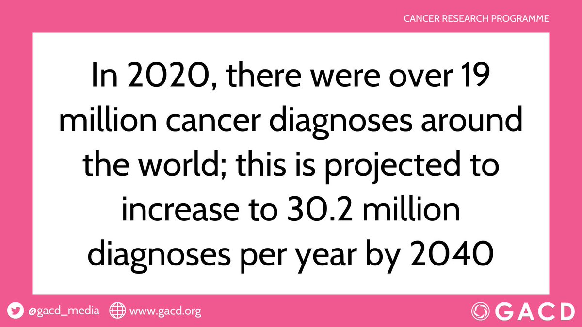 Global Alliance for Chronic Diseases (GACD) tweet media