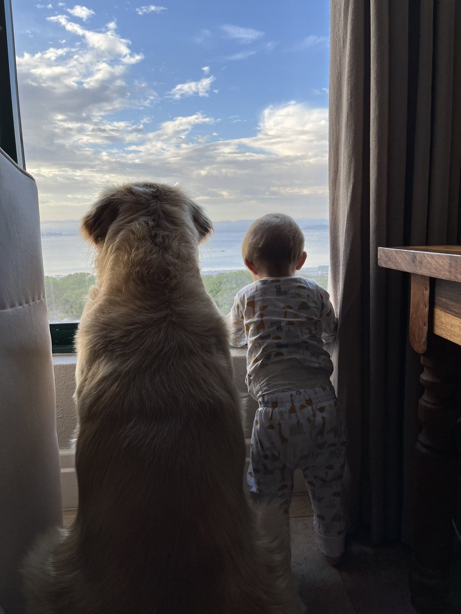 RabieSmal's tweet photo. #nationalgoldenretrieverday https://t.co/8RAam2mbVs