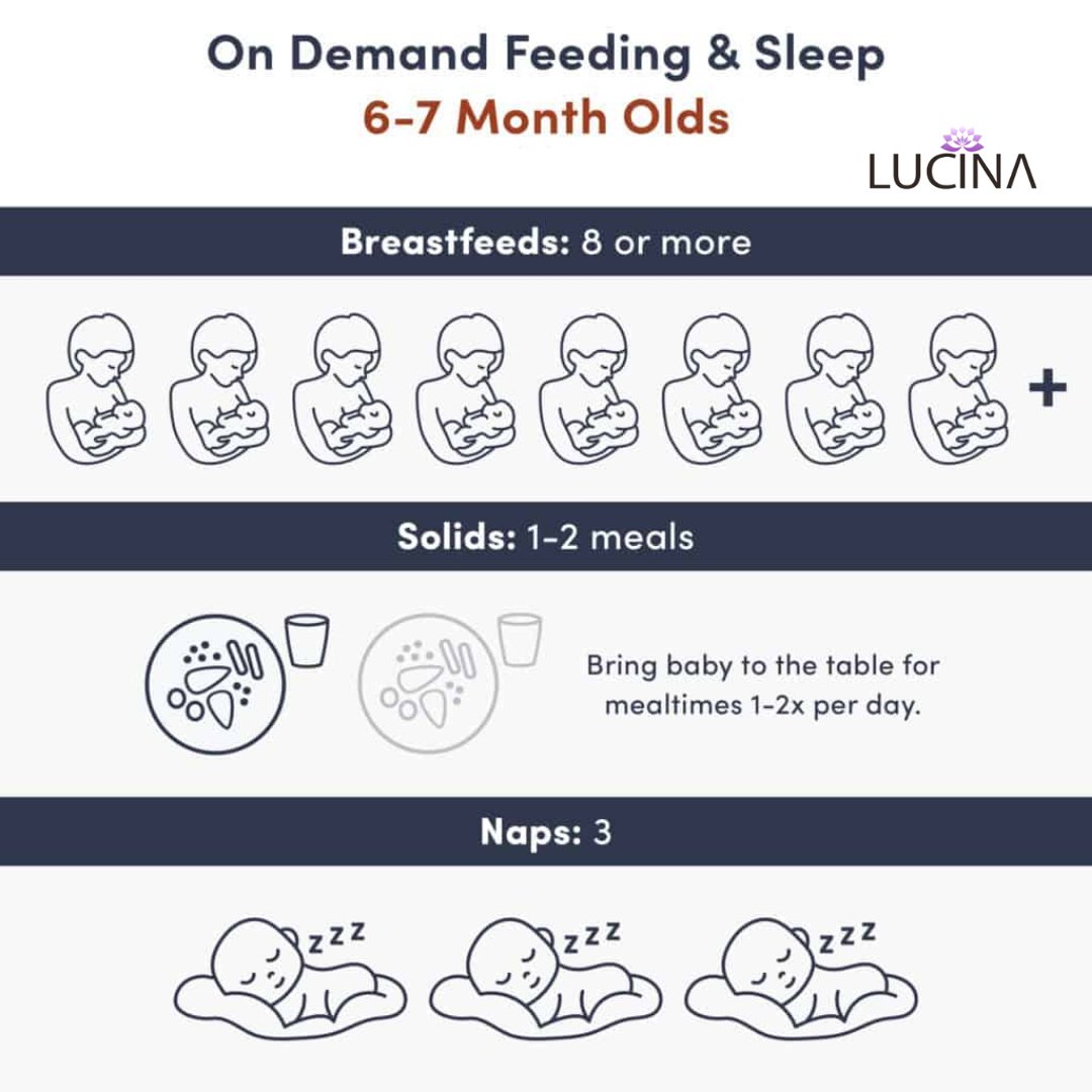 LucinaCare's tweet photo. Breastfeeds: 8 or more on demand
Solids: 1 to 2 meals
Baby is likely nursing at least six times per day, with most continuing to nurse 8-12 times per day.

#breatfeeding #breastfeedingsuccess #lactation #lactationconsultant #ibclc #lactationeducation #lactationsupport #midwife https://t.co/tfhrtueMBm