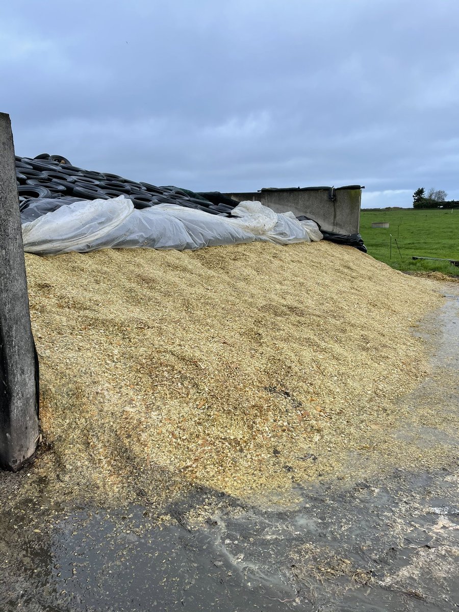 Finis le luxe du silo couvert place à l’extérieur 😅