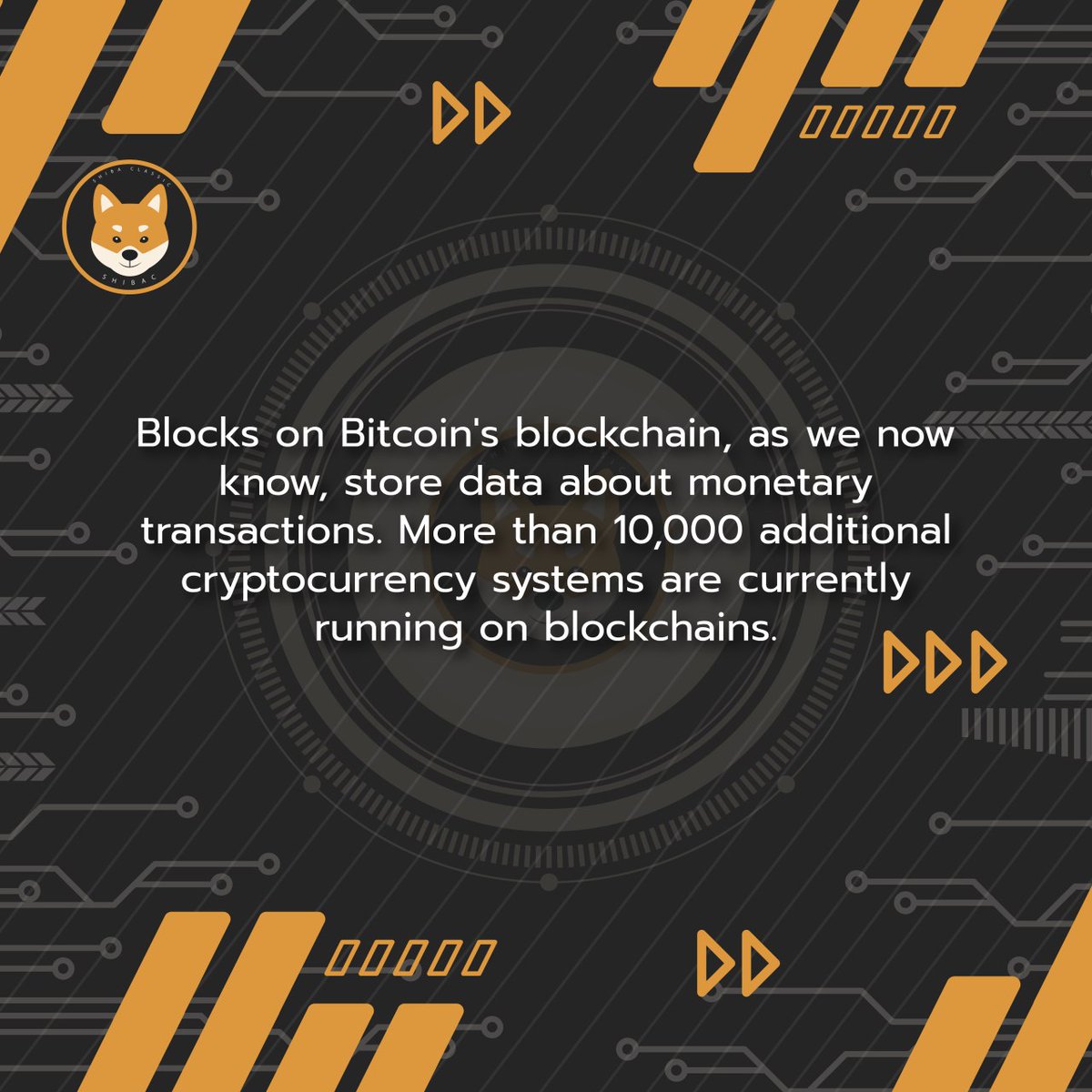 Shibac Tokens tweet media