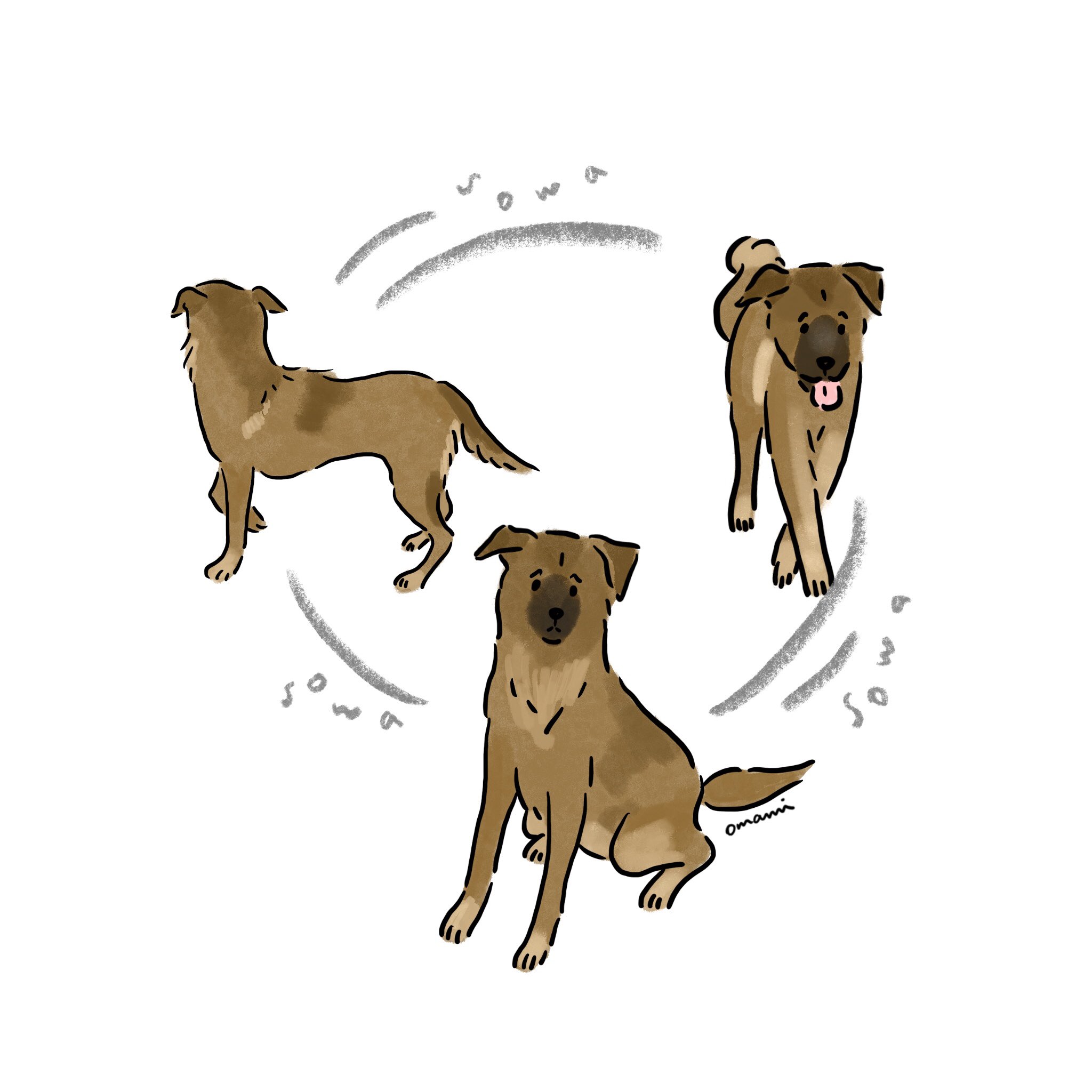 Omami 犬専門イラストレーター Al Twitter やっと学校から帰ってきた大好きな息子達が 外に遊びに行ってしまった後の愛犬こまち そわそわが止まらない 保護犬 Mix犬 鼻黒犬 イラスト 犬のイラスト イラストレーターさんと繋がりたい T Co P7bggmspfy