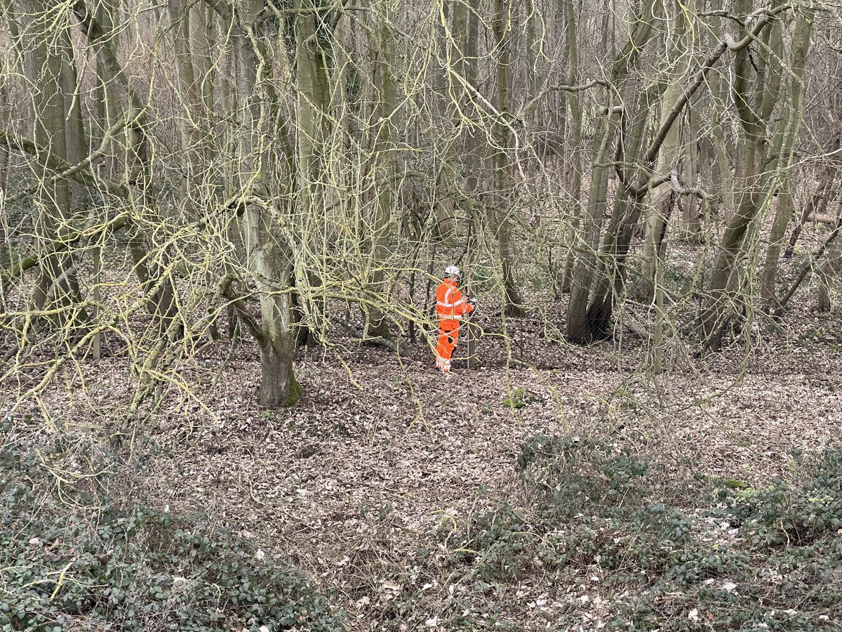 AHScanning's tweet photo. Spot the surveyor 🟠 A nice woodland setting for a topographical survey earlier this week #surveylife 

——
#ahscanning #everyanglecovered #laserscanning #survey #surveying #surveyors #toposurvey #topographicalsurvey #landsurvey #whenithastoberight @LeicaGeo_UKI @SCCSSURVEY https://t.co/4XIPb5JQmq