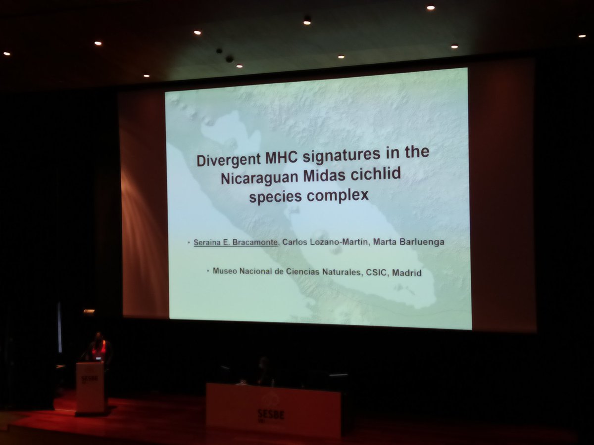 SESBE_Vigo22's tweet photo. Talk by @sebracamonte, "Divergent MHC signatures in the Nicaraguan Midas cichlid species complex", from @mncn_csic
Cool CICHLIDS!!! https://t.co/2FJF64uC9r