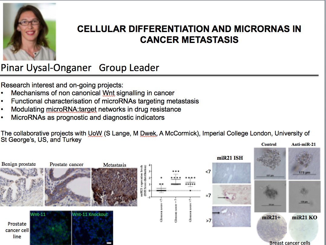 CancerWestmin's tweet photo. 14/14 Dr @ponganer studies cancer stem cells and non codingRNAs in metastasis. #WorldCancerDay2022 @WeAreWmin https://t.co/FZDzAbqwtu