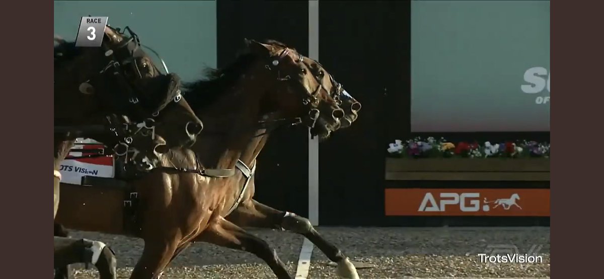 Anthony Crossland Harness Racing Stables tweet media