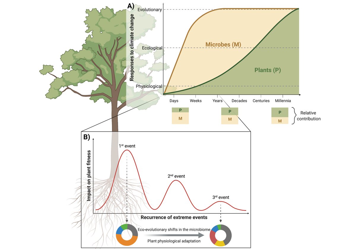 Prof Brajesh Singh (@prof_braj_singh) on Twitter photo Plant-microbiome interactions under a changing world: responses, consequences, and perspective. In this <a href="/NewPhyt/">New Phytologist</a> Transley insight, we have been deliberately provocative to initiate new discussions to shape future research in this discipline.
nph.onlinelibrary.wiley.com/doi/abs/10.111… Plant-microbiome interactions under a changing world: responses, consequences, and perspective. In this <a href="/NewPhyt/">New Phytologist</a> Transley insight, we have been deliberately provocative to initiate new discussions to shape future research in this discipline.
nph.onlinelibrary.wiley.com/doi/abs/10.111…