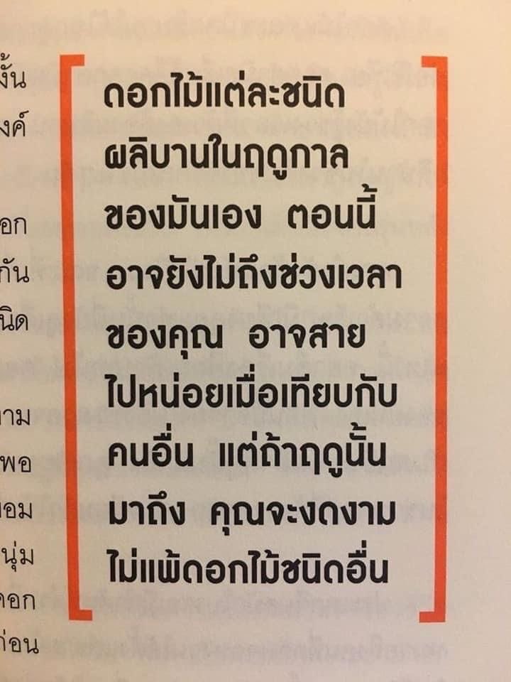 kaenakeng's tweet photo. โห ชอบมากกกกก https://t.co/I9MwP3N8yQ