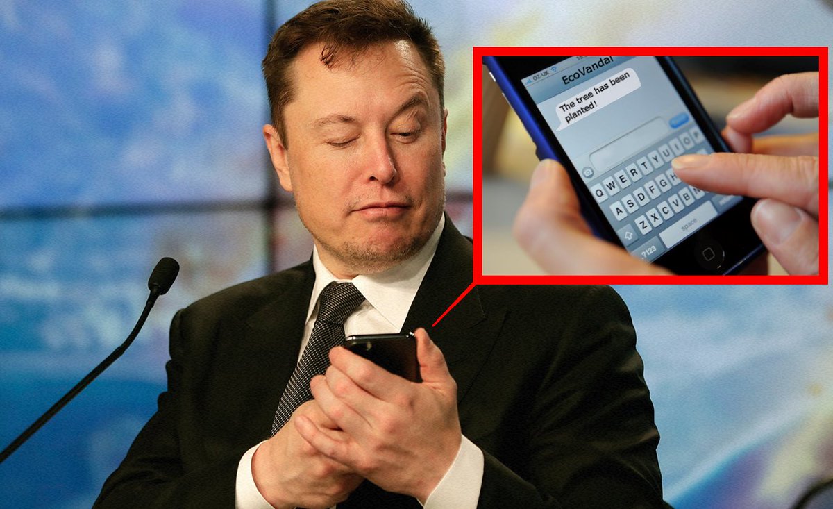 SleepyTreeNFT's tweet photo. hey @elonmusk how about buying some nft https://t.co/fh6UijtPYm