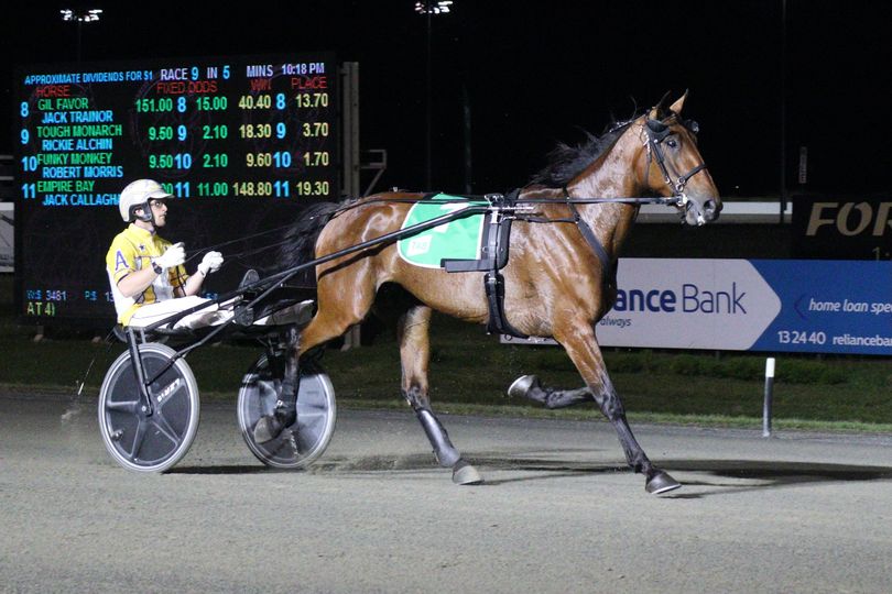 Anthony Webb (@apexguy01) on Twitter photo Super proud here in Paris watching Maggie making the Great Southern Star Final, tremendous effort by <a href="/AikenRacing/">AIKEN RACING</a> to have her ready for the race, fingers crossed for the final ππ€π Super proud here in Paris watching Maggie making the Great Southern Star Final, tremendous effort by <a href="/AikenRacing/">AIKEN RACING</a> to have her ready for the race, fingers crossed for the final ππ€π