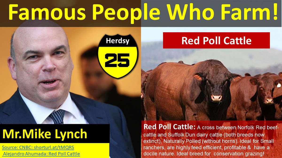 Its Famous Farmer Friday!!! Mike Lynch, Tech Entrepreneur, nicknamed "The British Bill Gates", has a passion for farming &amp; rare breeds of Cattle, like the Red Poll. Red Poll have scored in the top 1% for Feed Efficiency &amp;  land conservation. An old breed ready for a new world!