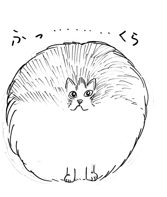 @KRAUSER_MKM1000 FF外から失礼します。ドンドンふっくらして将来が楽しみです! 