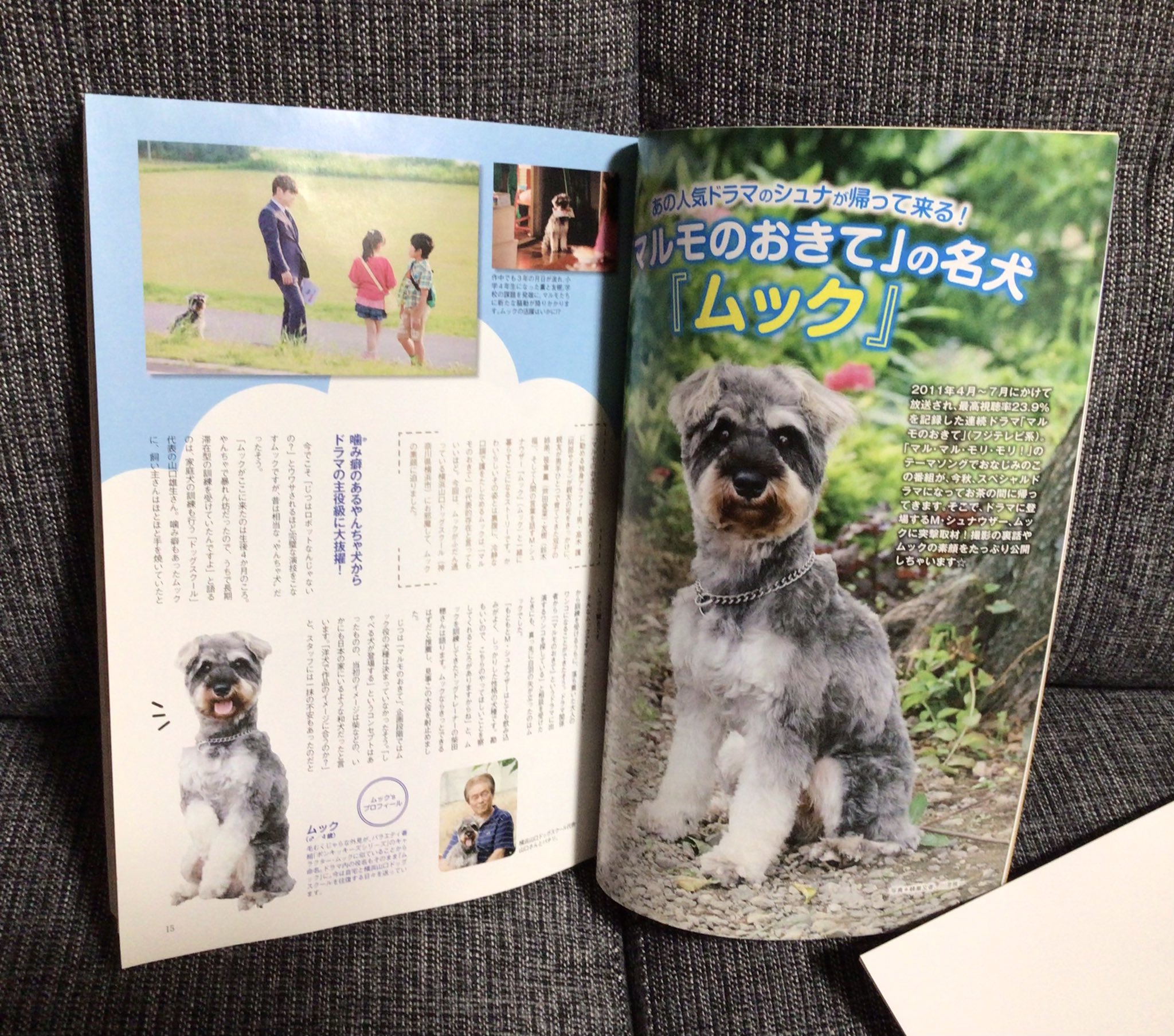 うーたん 大女優芦田愛菜さま命 おさない愛菜ちゃんにまた出逢えてすごく嬉しい 持ってなかったので買いました ムックも残りの余生を幸せに生きてね 芦田愛菜 ジョビィキッズ マルモのおきて ムック 芦田愛菜 T Co