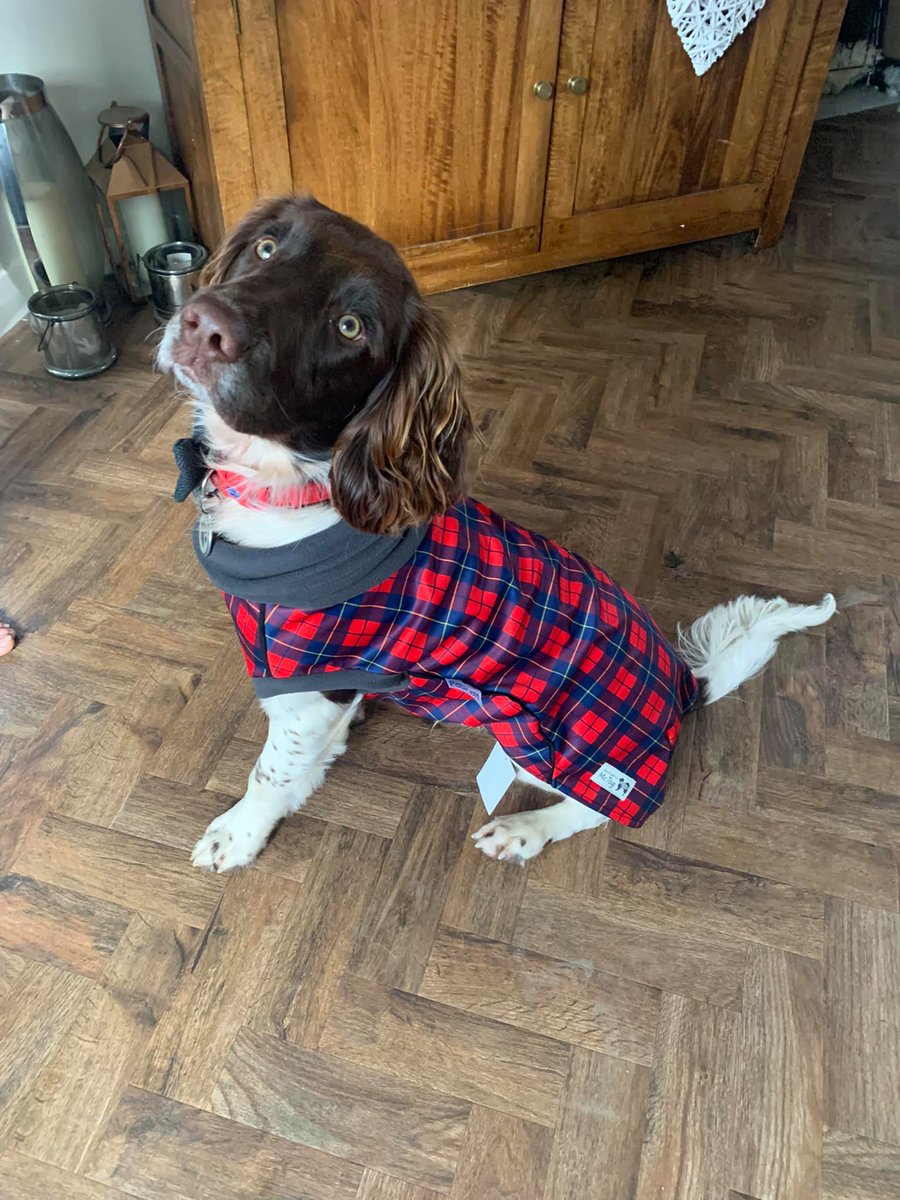 Leanne Hughes (she/her) tweet media