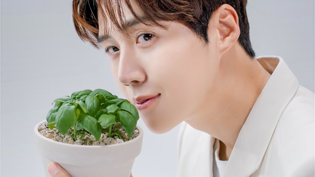 SEONHOLOOKS's tweet photo. KIM SEONHO X MIIMA
#MiimaMaskUp_with_Seonho
#선호와_선호하는_미마마스크 https://t.co/epz38XRJFF