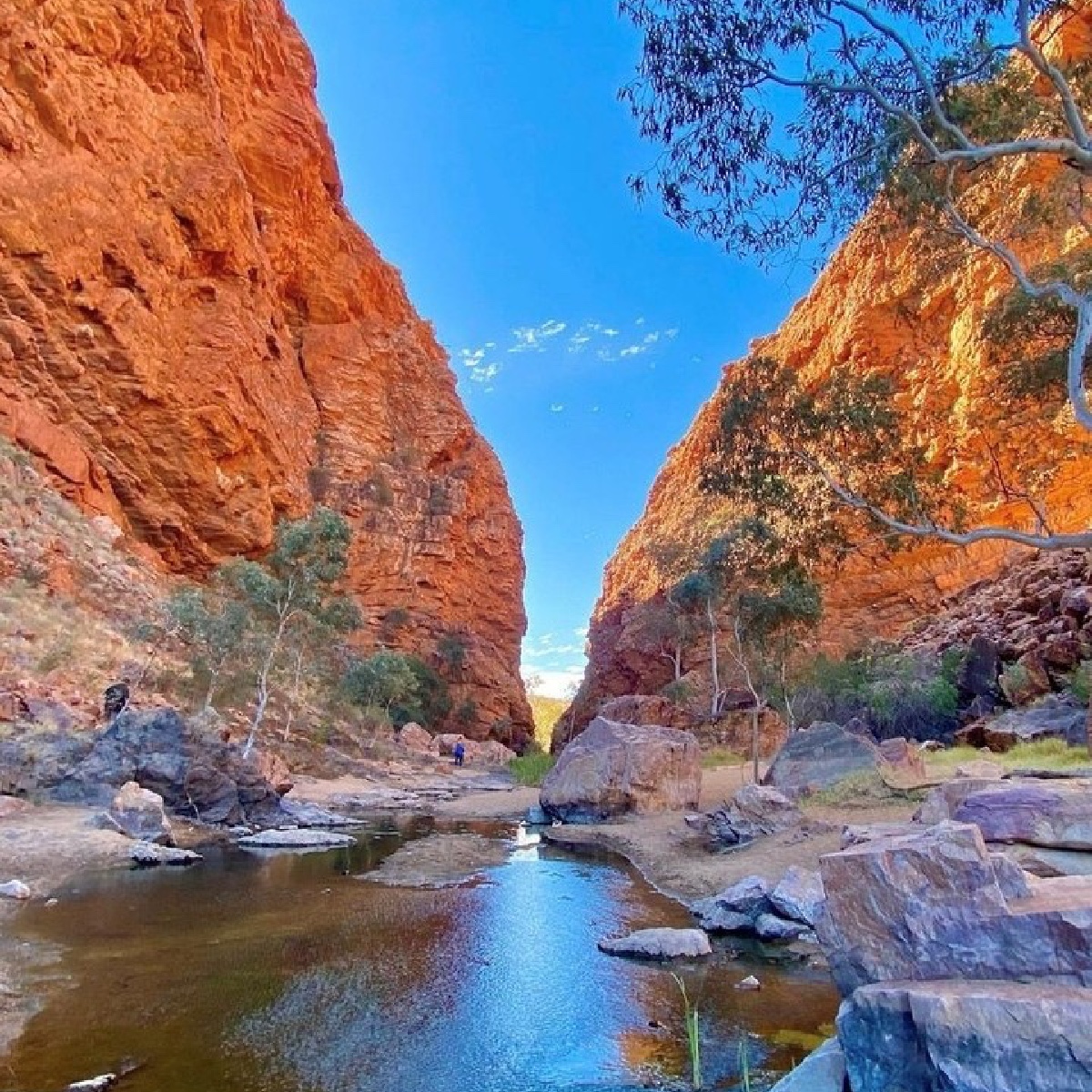 Australia's tweet photo. Next stop: #SimpsonsGap ๐ฃ๐
Today, we're joining IG/nomadic.horizons as they explore one of the most prominent gaps in Tjoritja (#WestMacDonnellRanges) in @NT_Australia, home to the Arrernte people.
#seeaustralia #ntaustralia #visitcentralaus #holidayherethisyear https://t.co/BPoUrPFqtt