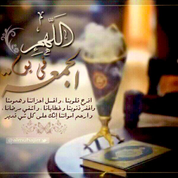 ⌞ ᓚᓢLᓆɡȷ ◜ tweet media