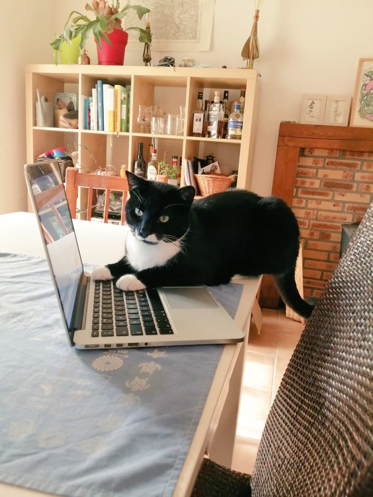 Lydia Jane White tweet media