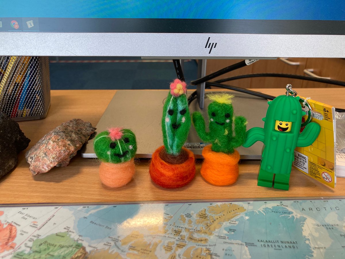 The cactus family on my desk is growing slowly but surely. Thank you secret friend! 🌵