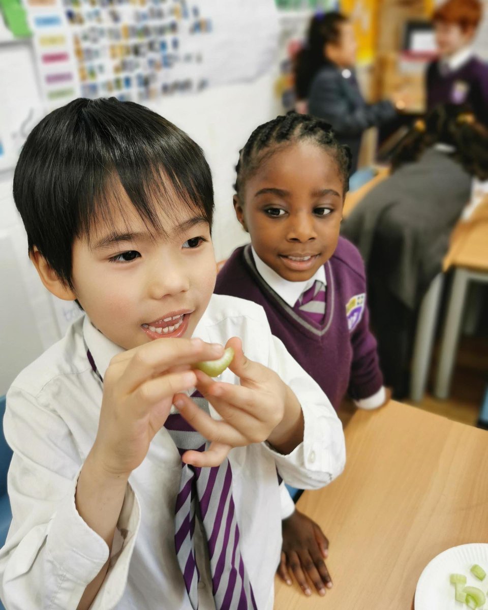 HPA_Philip_Lane's tweet image. #HPAPLYear1 exploring their senses in science this week! 👂🏽👀😋✋🏾👃🏿
