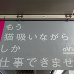 もう猫吸いながらしか仕事できない…電車の中吊り広告が凄い!