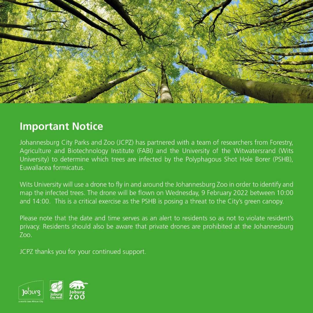 Johannesburg Urban Forest Alliance tweet media
