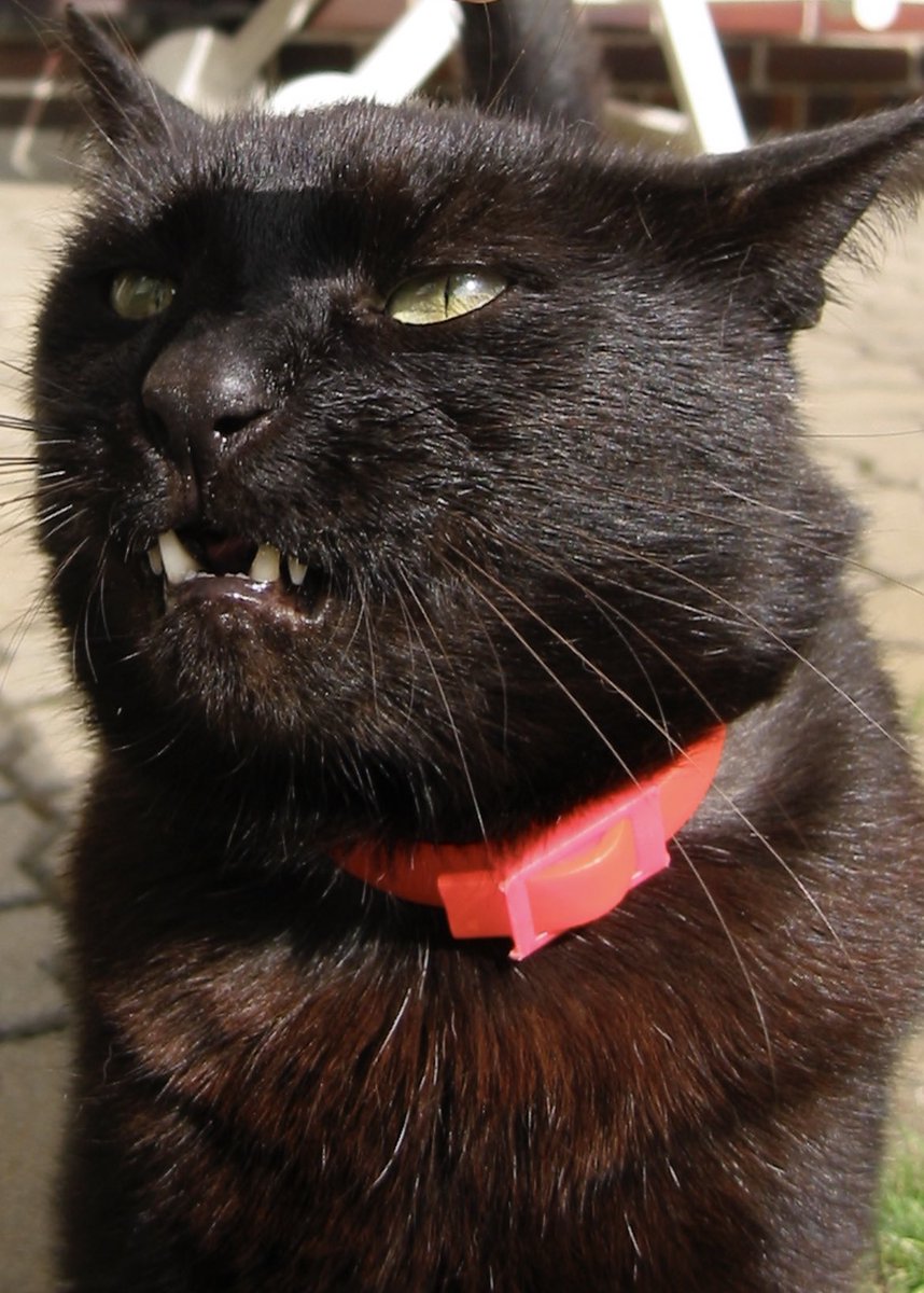 TapirOne's tweet image. Me

Web2 vs. Web3