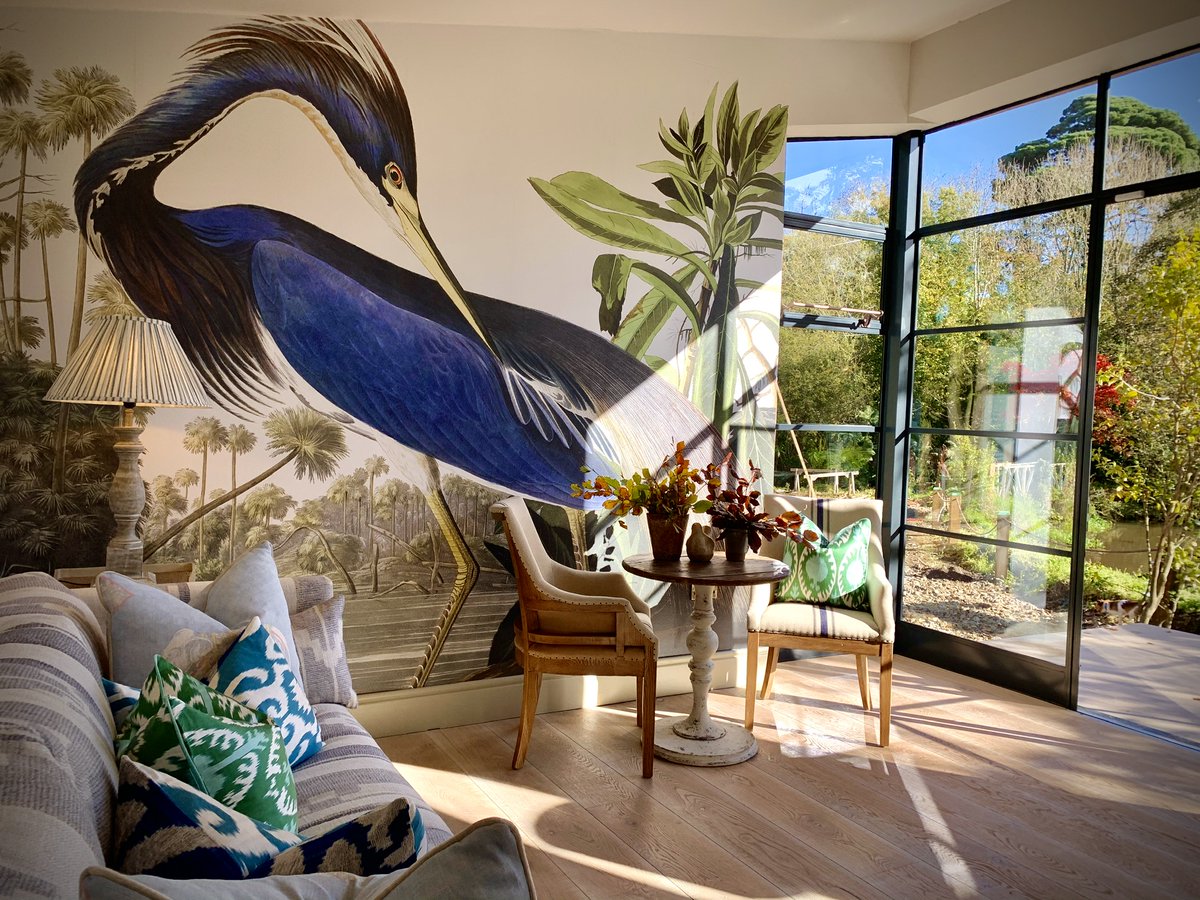 @poloconghaile tweet media