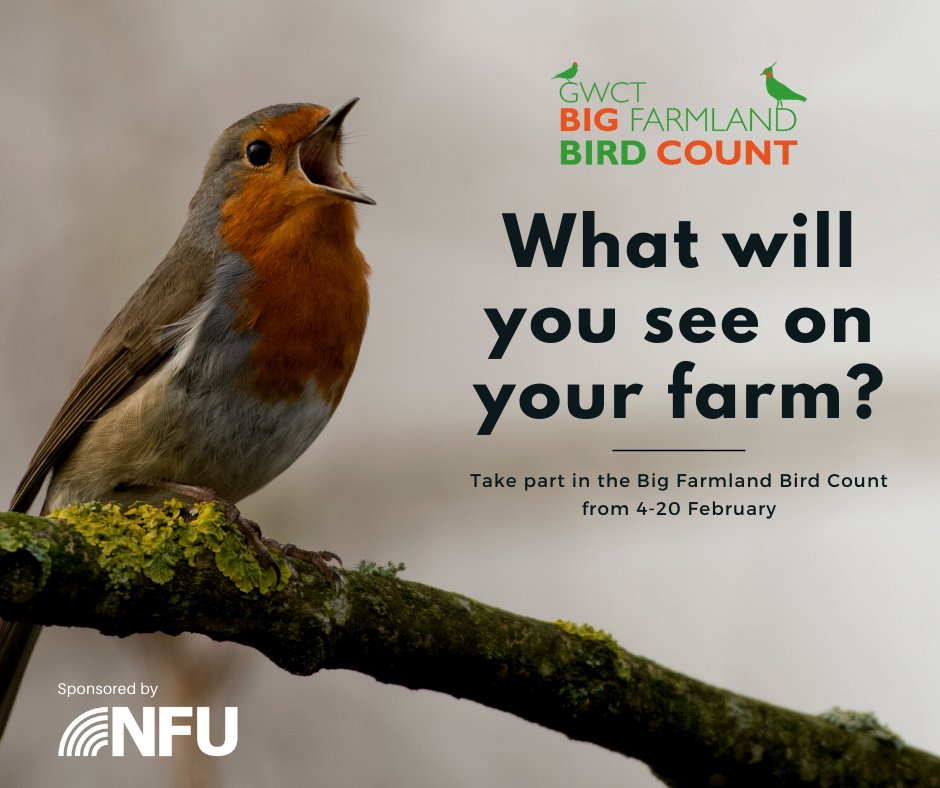 National Farmers' Union (@nfutweets) on Twitter photo Ready! Set! GO! 🚦
Today marks the start of the 2022 Big Farmland Bird Count 🦉 Last year saw a record number of farmers take part – so the question for 2022 is: can that figure be beaten? 💪
Sign up today 👉 ow.ly/cU1e50HMnZL #BFBC <a href="/Gameandwildlife/">The Game & Wildlife Conservation Trust</a> Ready! Set! GO! 🚦
Today marks the start of the 2022 Big Farmland Bird Count 🦉 Last year saw a record number of farmers take part – so the question for 2022 is: can that figure be beaten? 💪
Sign up today 👉 ow.ly/cU1e50HMnZL #BFBC <a href="/Gameandwildlife/">The Game & Wildlife Conservation Trust</a>