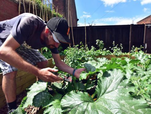 SowtheCity's tweet photo. Spring is round the corner and we have new #greensocialprescribing sessions starting in March.  We accept referrals or self referrals for any Manchester resident struggling with their mental health: https://t.co/NDWShE88mh
#GMNatureforHealth @GMPandC @CornbrookGarden @GMMH_NHS https://t.co/kJOGUm5oRL