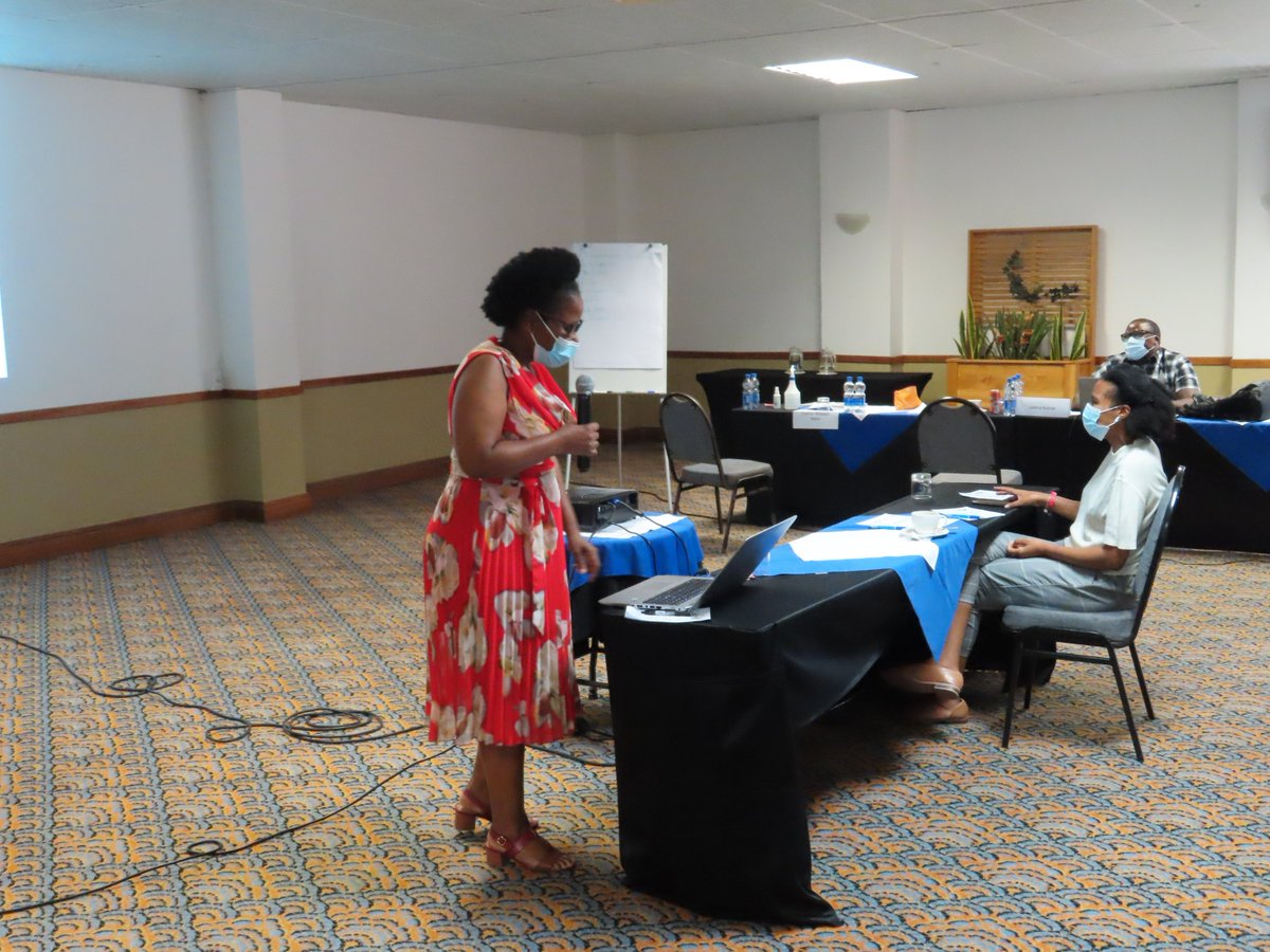 A participant presenting her work.