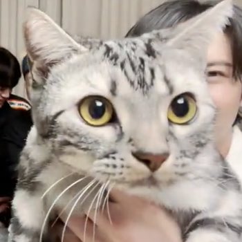 a112z0's tweet photo. 달이😱 https://t.co/kjCw8haDcd